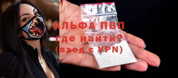 индика Верхний Тагил