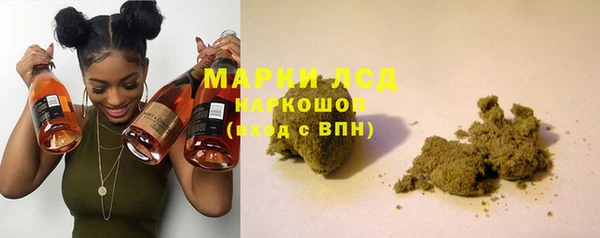 индика Верхний Тагил