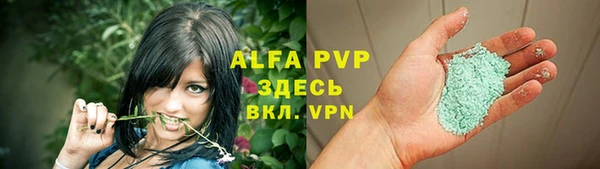 индика Верхний Тагил