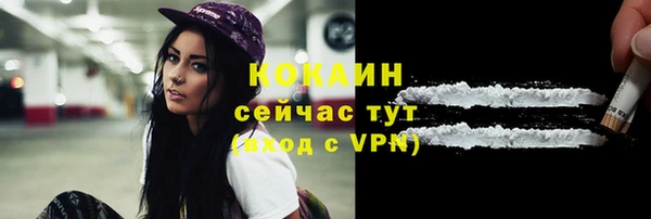 амф Верея