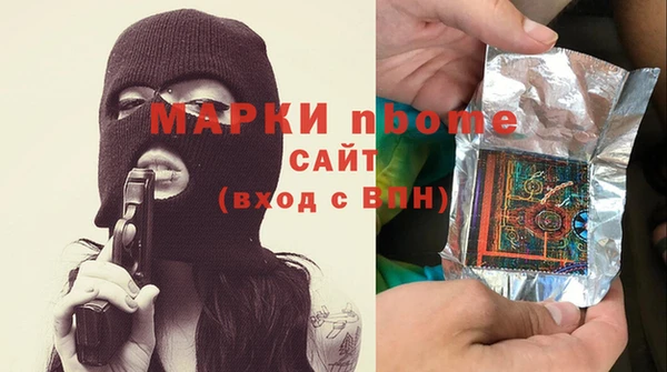 индика Верхний Тагил