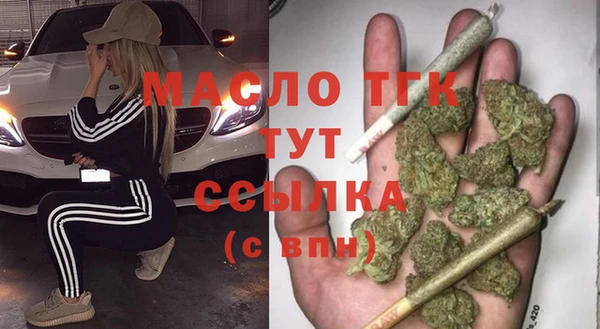 индика Верхний Тагил