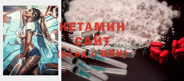 индика Верхний Тагил