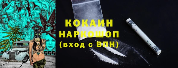 индика Верхний Тагил