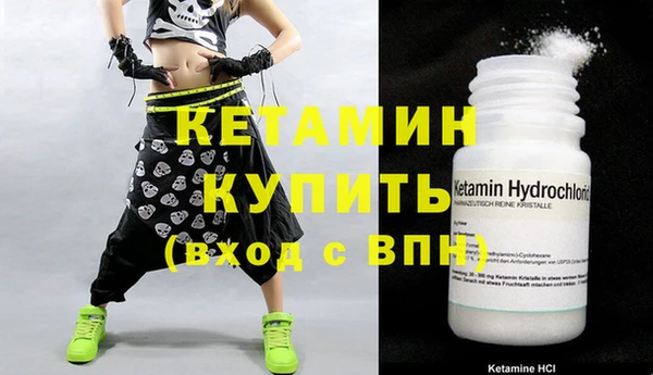 индика Верхний Тагил