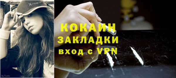 индика Верхний Тагил