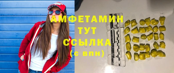 индика Верхний Тагил