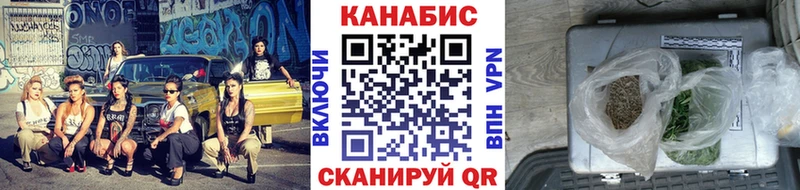 Конопля гибрид  Купить закладки  Кашин 
